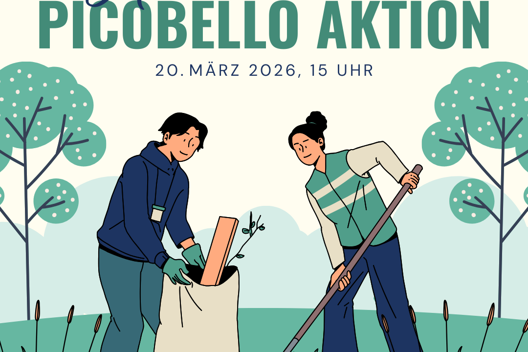 aktuelles -PicobelloAktion - 2026